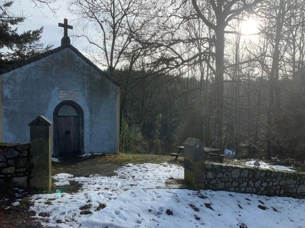 Valsonne Domaine De La Rue De La Tour B&B 외부 사진